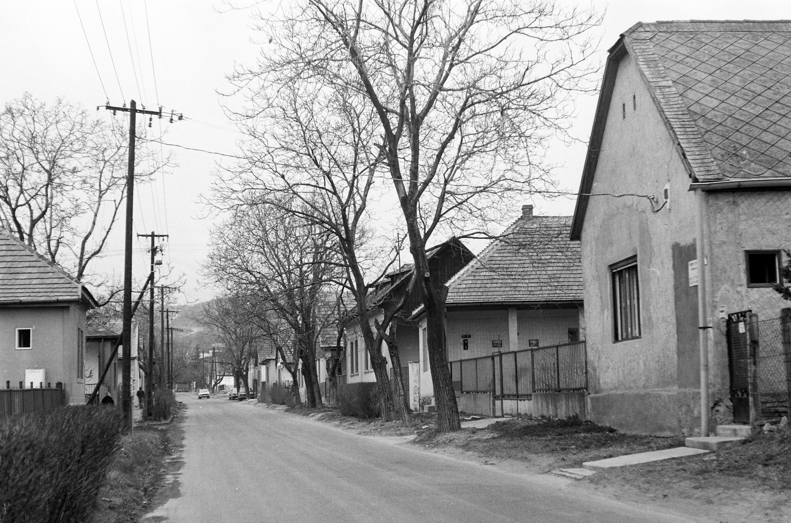 1979, Rékai Zsolt, Fortepan #300728