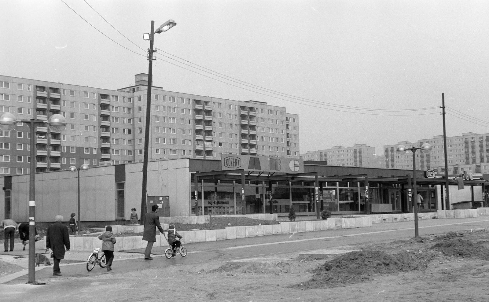 1979, Rékai Zsolt, Közért Vállalat, lakótelep, kerékpár, Fortepan #300730
