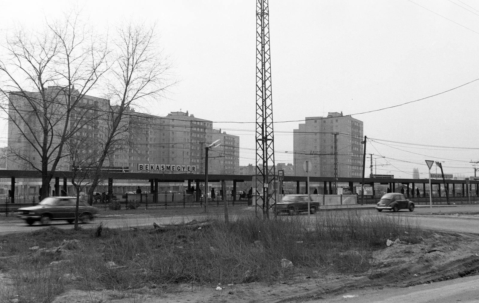 1979, Rékai Zsolt, Fortepan #300732