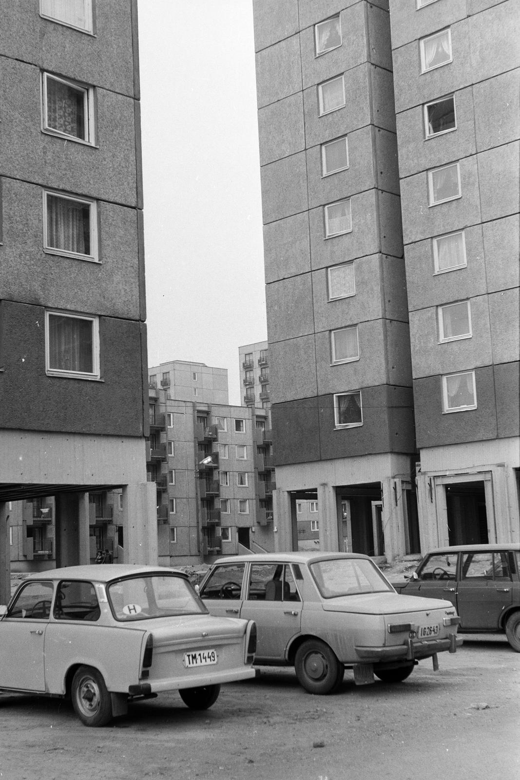 1979, Rékai Zsolt, rendszám, Trabant 601, Wartburg 353, Fortepan #300735