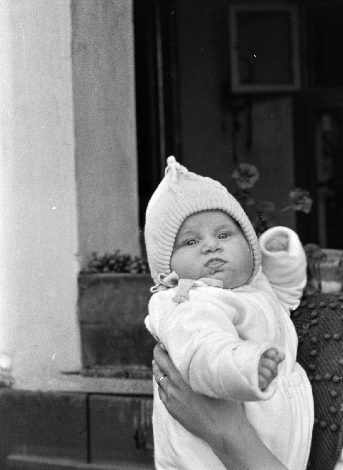 1954, Németh Tamás, hold in arms, newborn, Fortepan #30074