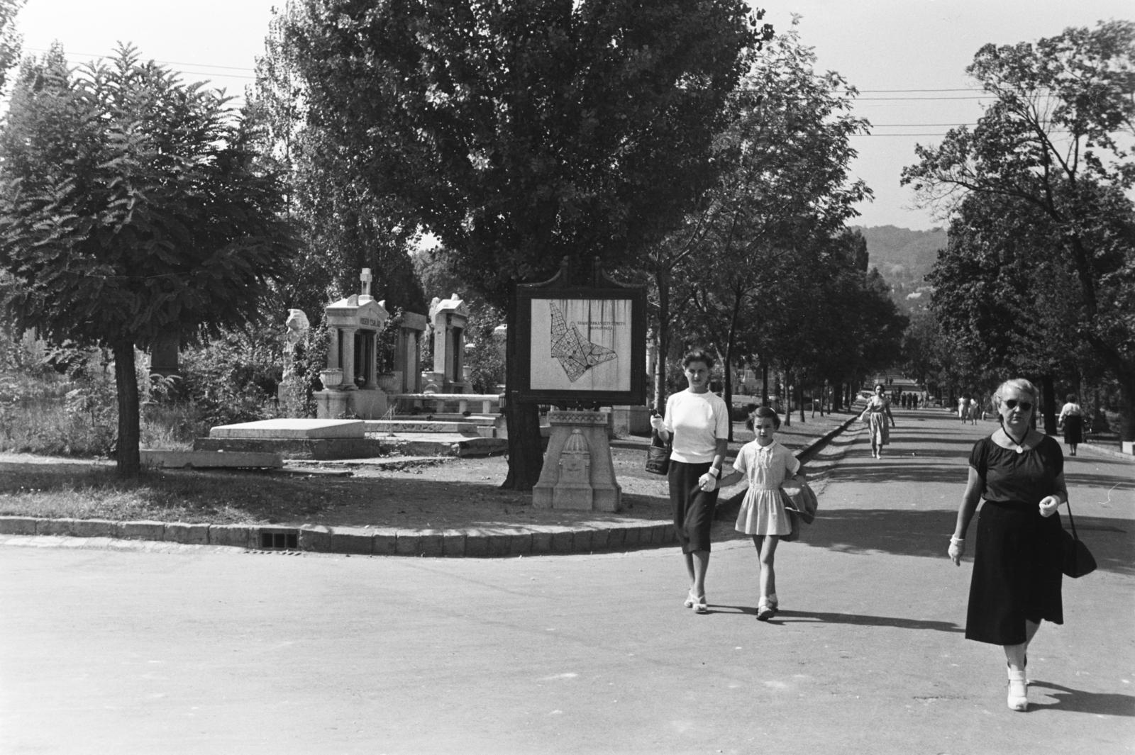 Magyarország, Budapest XII., Farkasréti temető, a főbejáratnál lévő térről induló főút., 1955, Szalay János, Budapest, Fortepan #300792