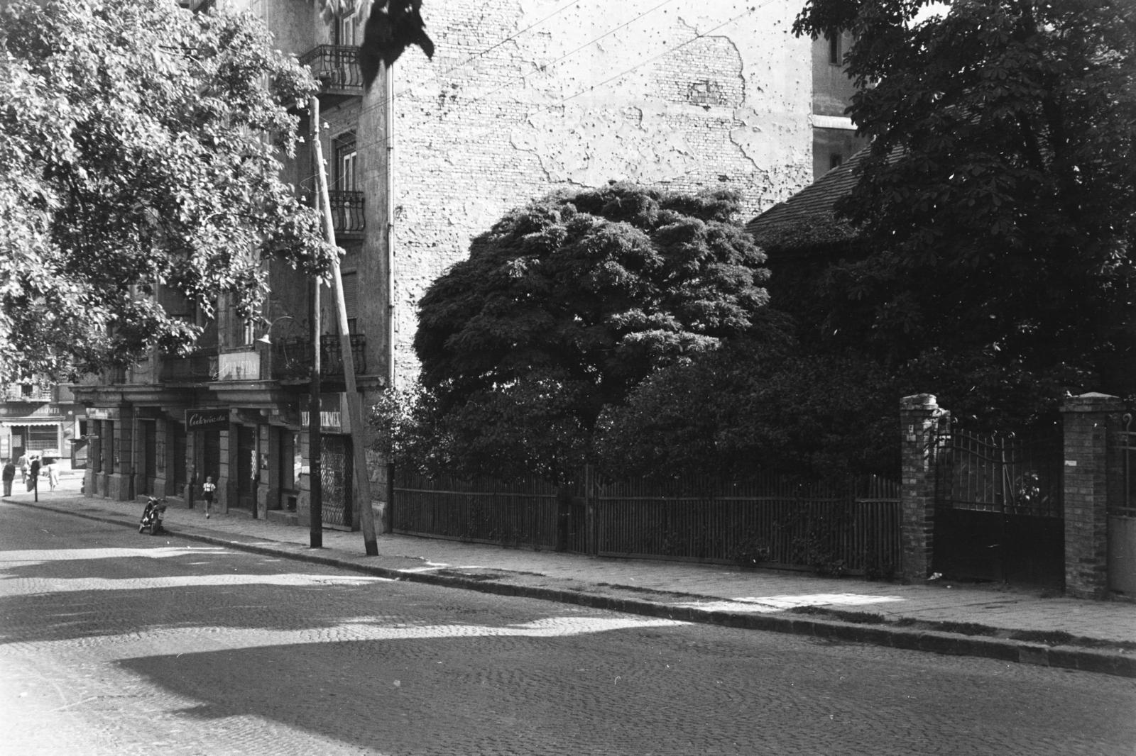 Magyarország, Budapest XII., Királyhágó tér, bal szélen a Böszörményi út., 1955, Szalay János, Budapest, Fortepan #300795