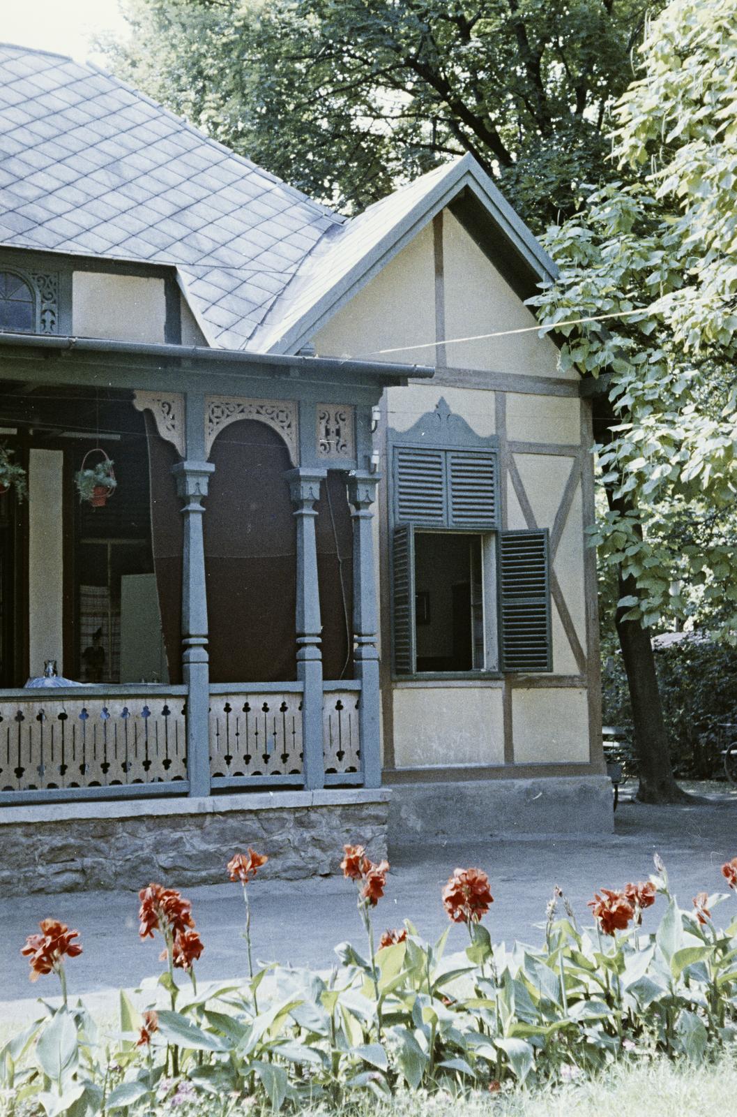 1960, Szalay János, Fortepan #300804