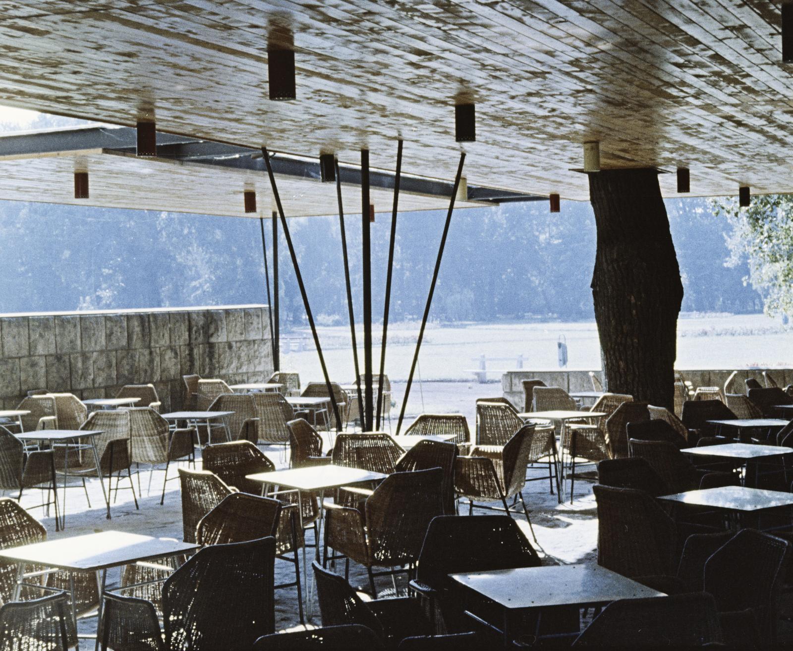 1960, Szalay János, Fortepan #300807