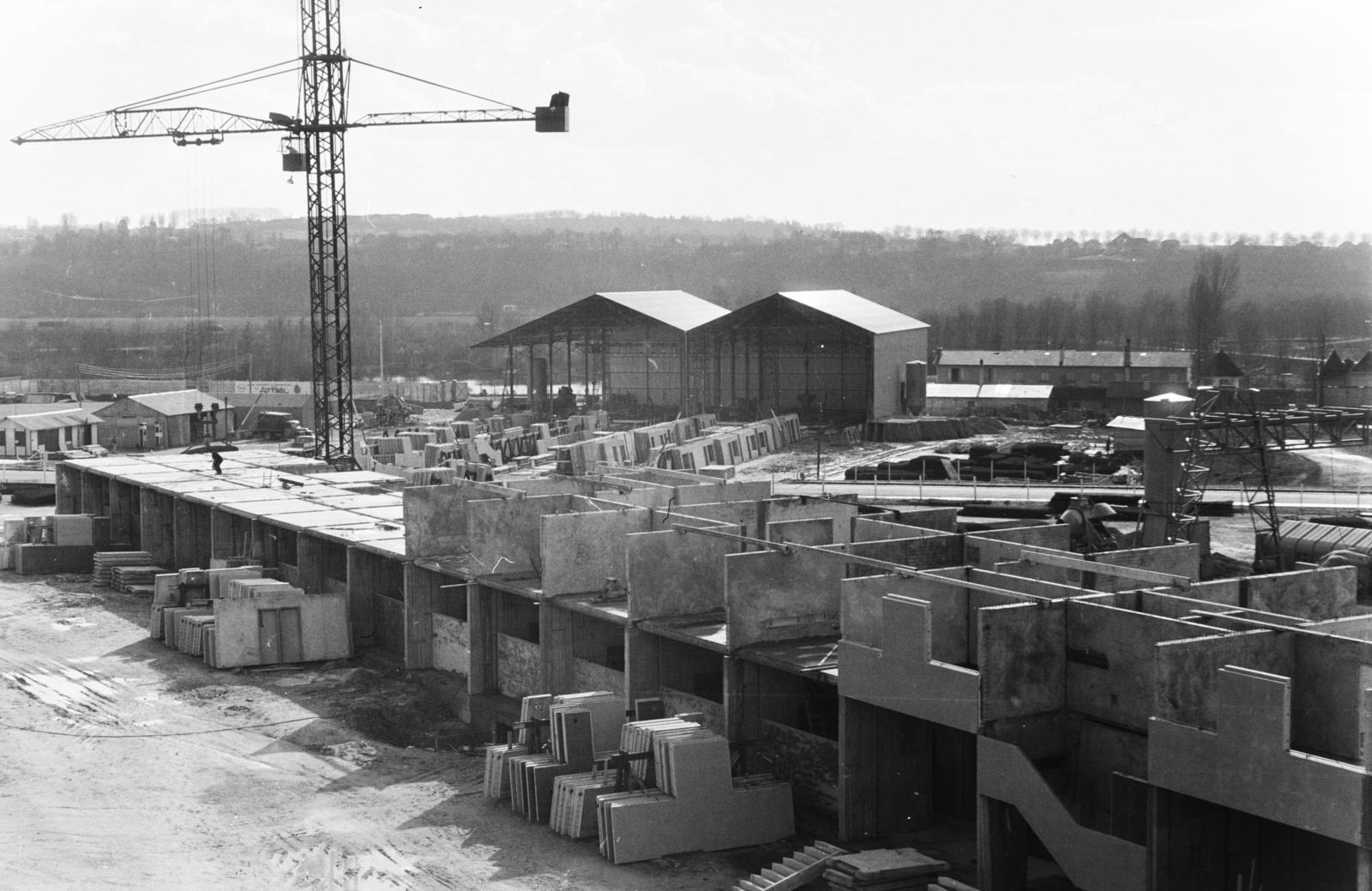 1961, Szalay János, Fortepan #300820