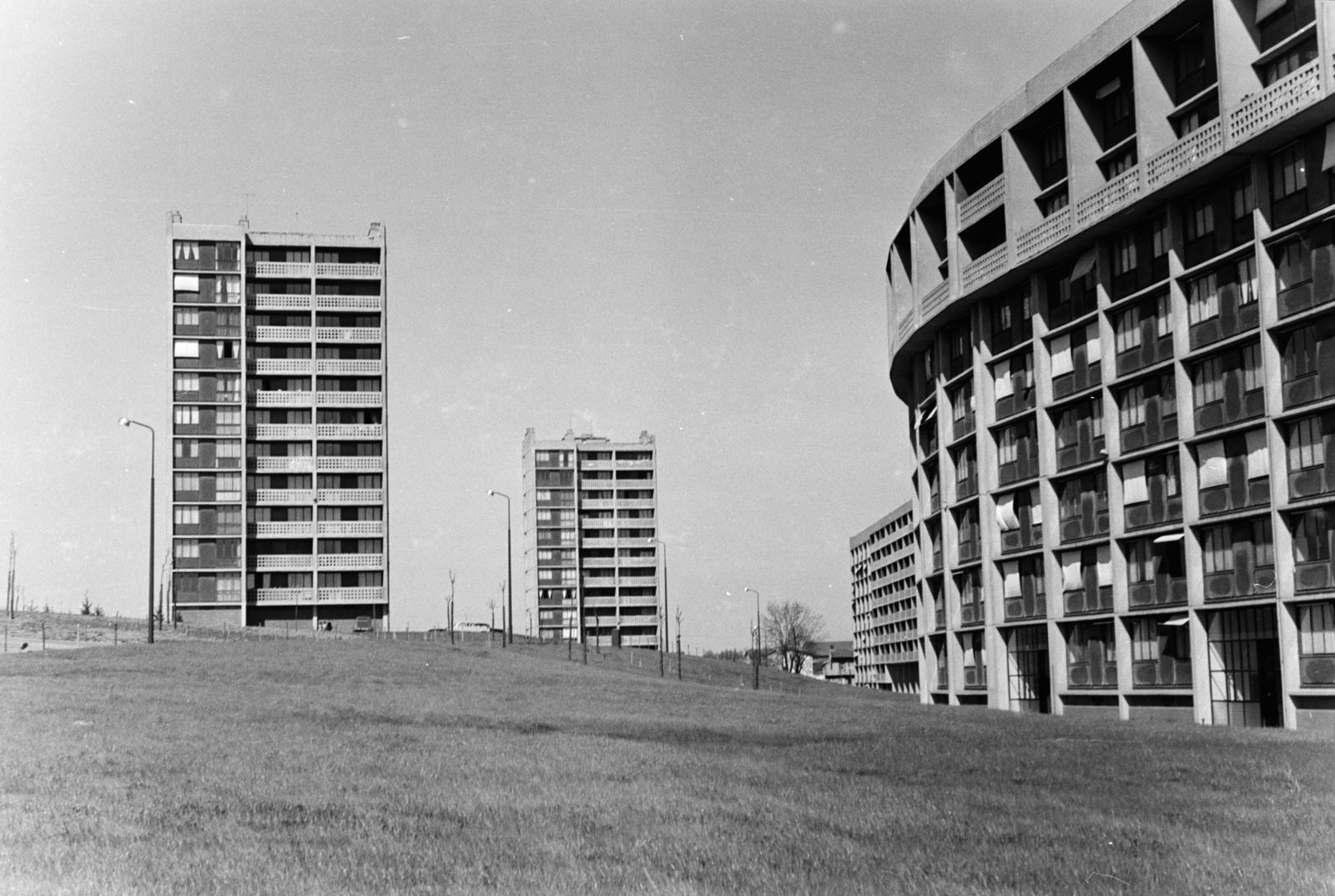 1961, Szalay János, Fortepan #300845