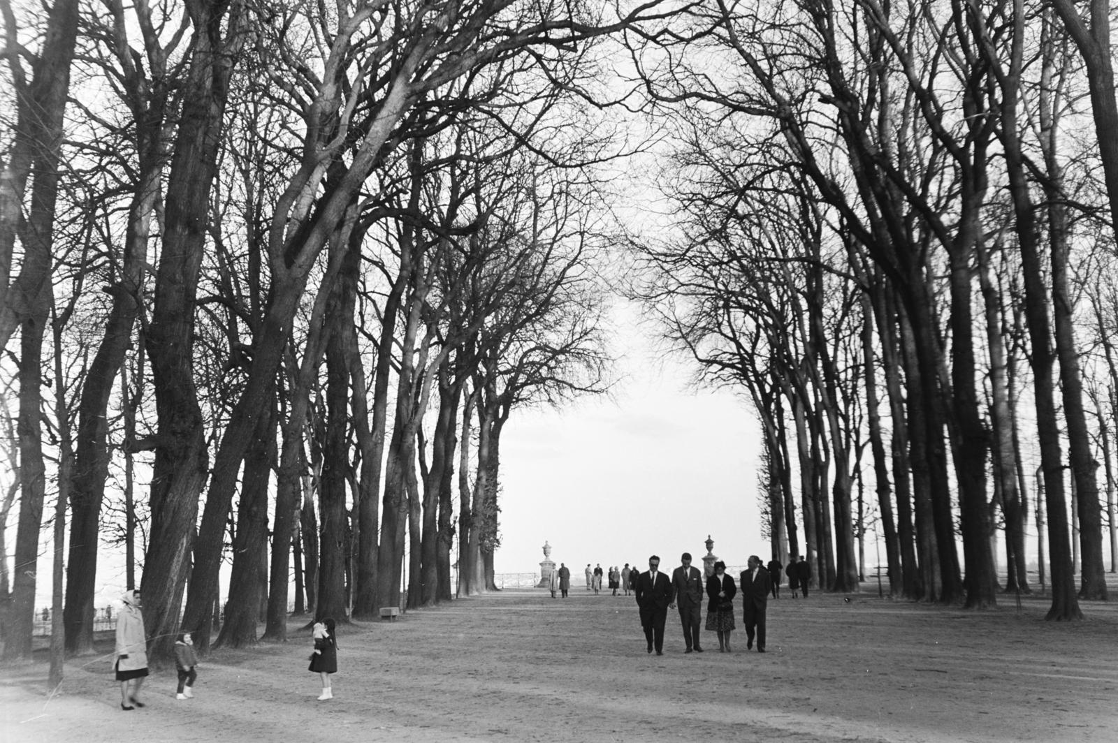 1961, Szalay János, Fortepan #300868