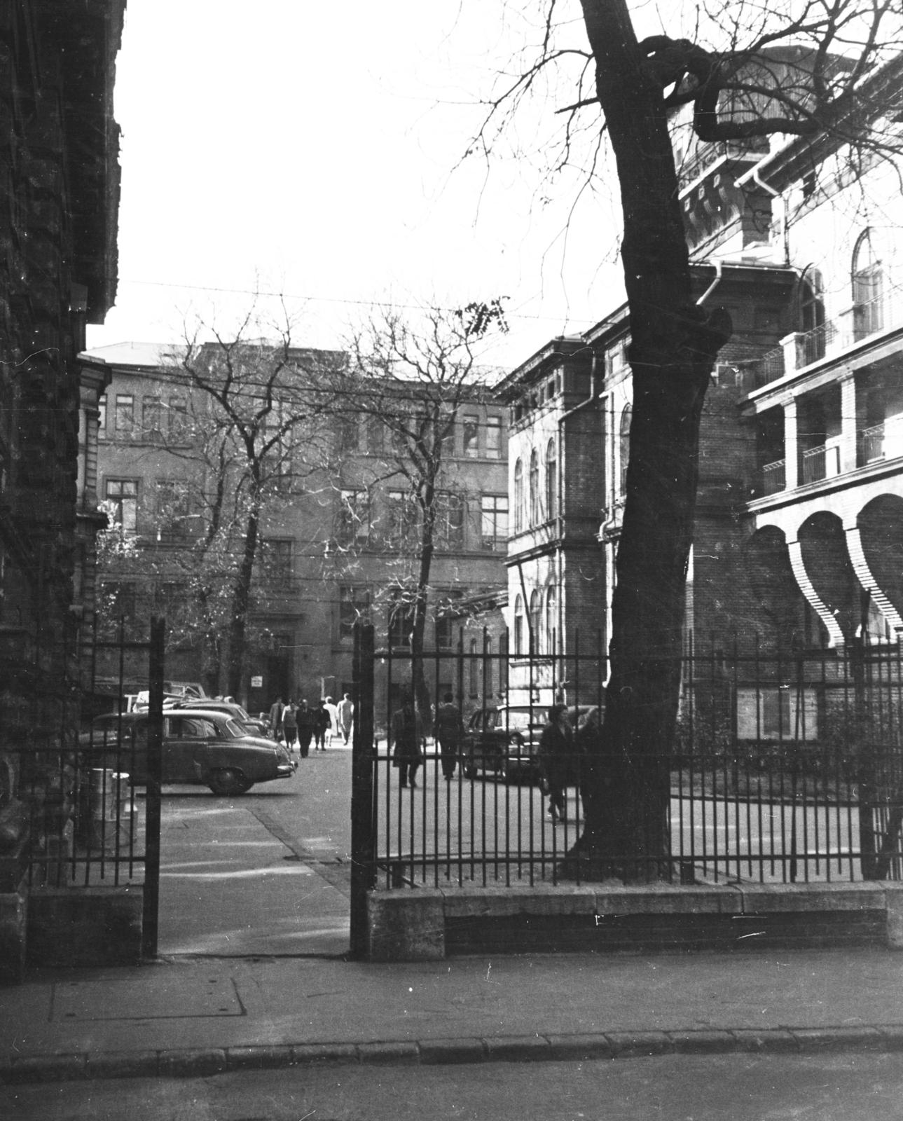 1961, Szalay János, Fortepan #300876