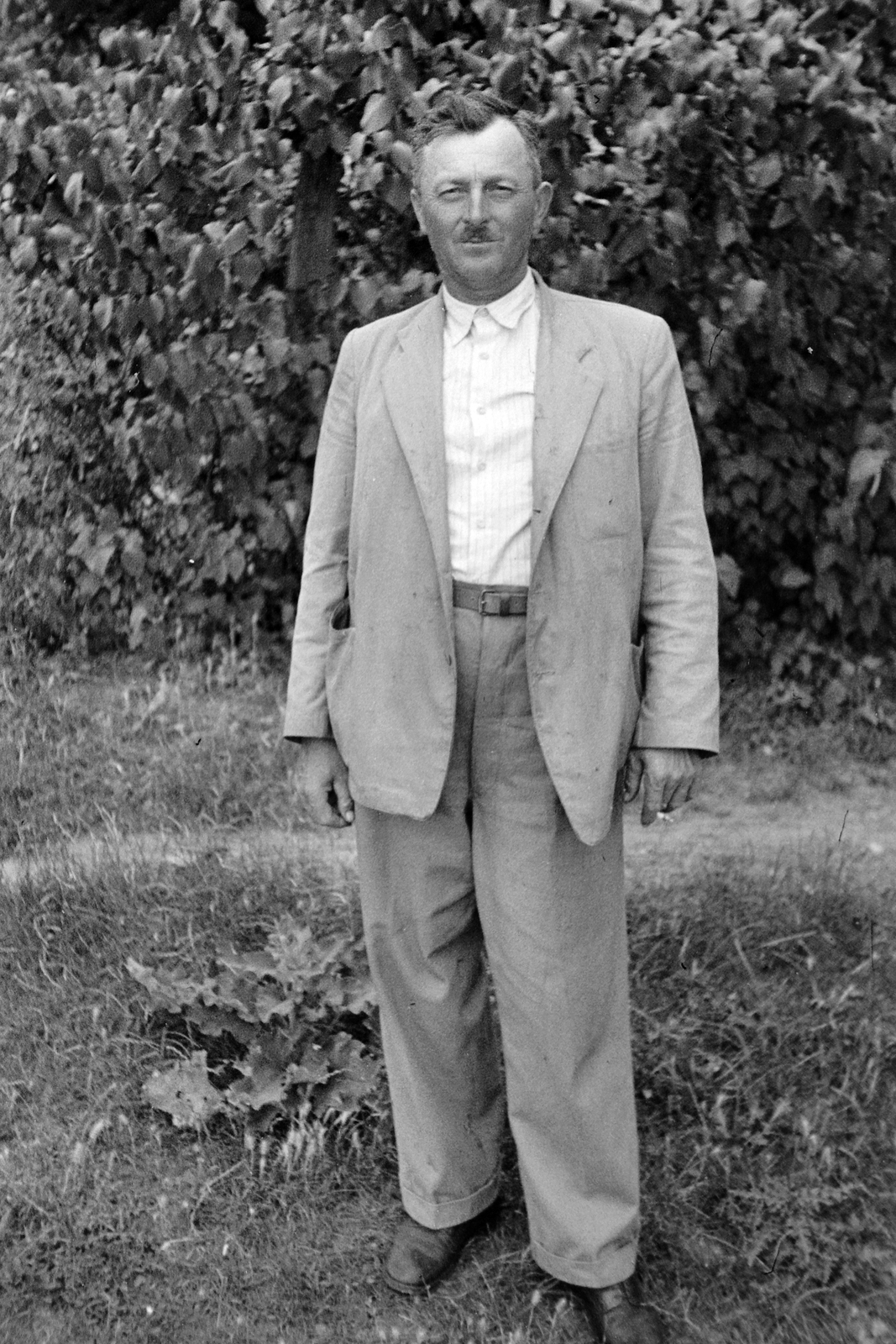 1954, Németh Tamás, portrait, man, bush, Fortepan #30088