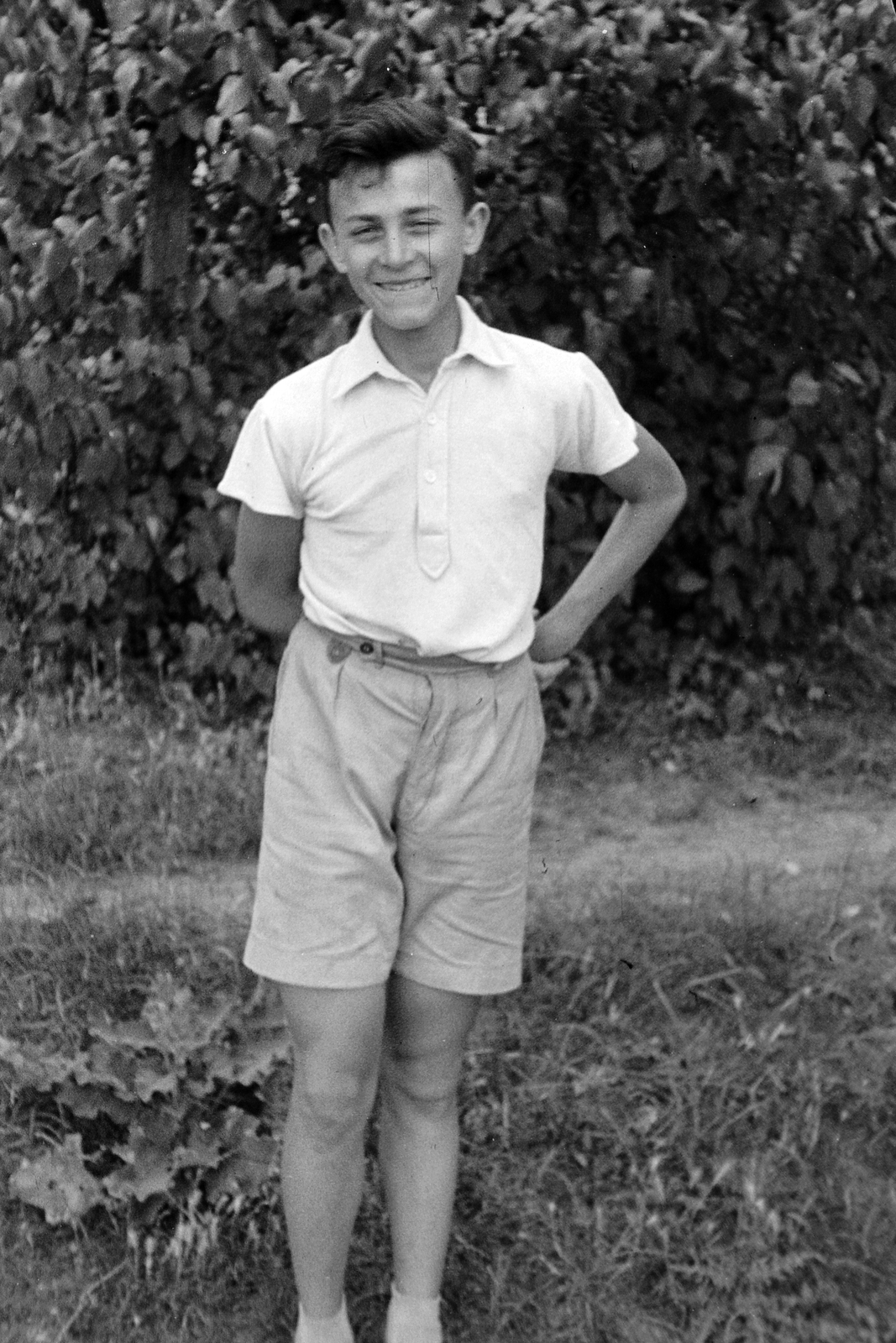 1954, Németh Tamás, portrait, boy, bush, Fortepan #30089