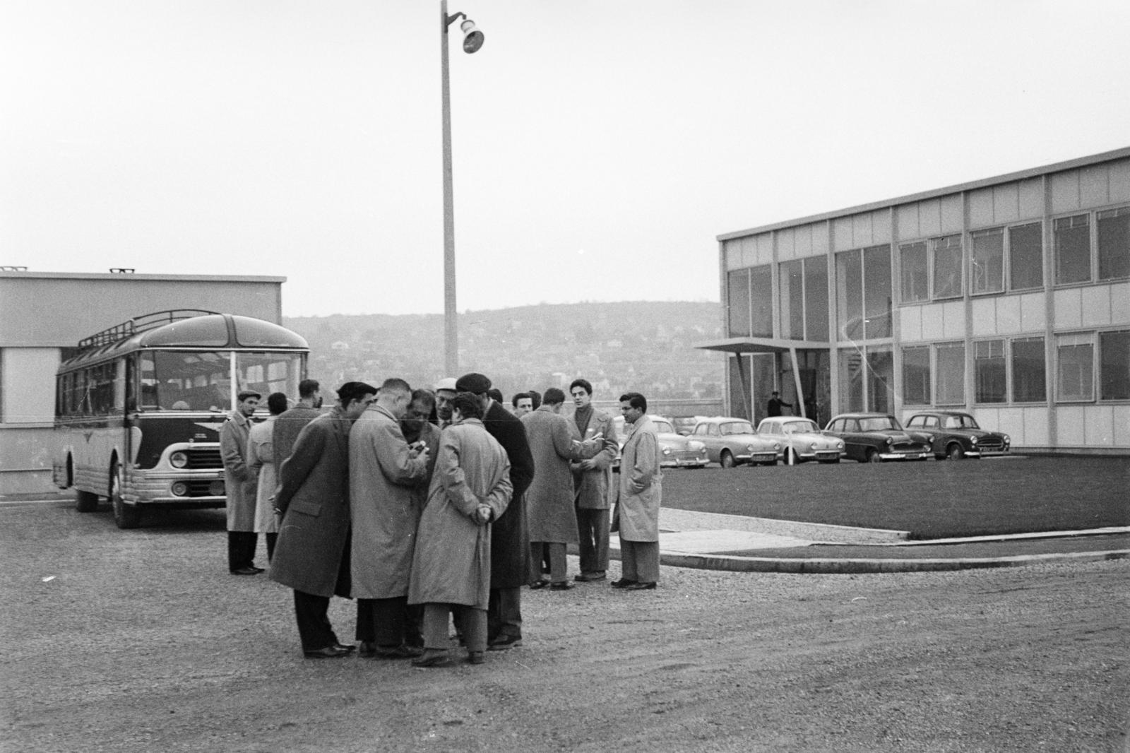 1960, Szalay János, Fortepan #301036