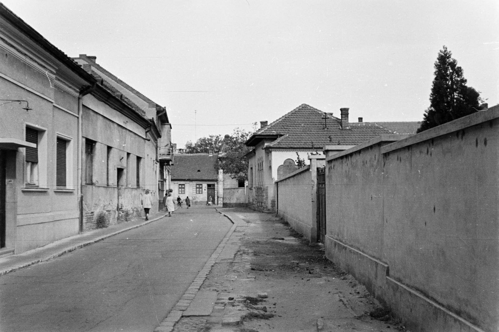 1961, Szalay János, Fortepan #301099