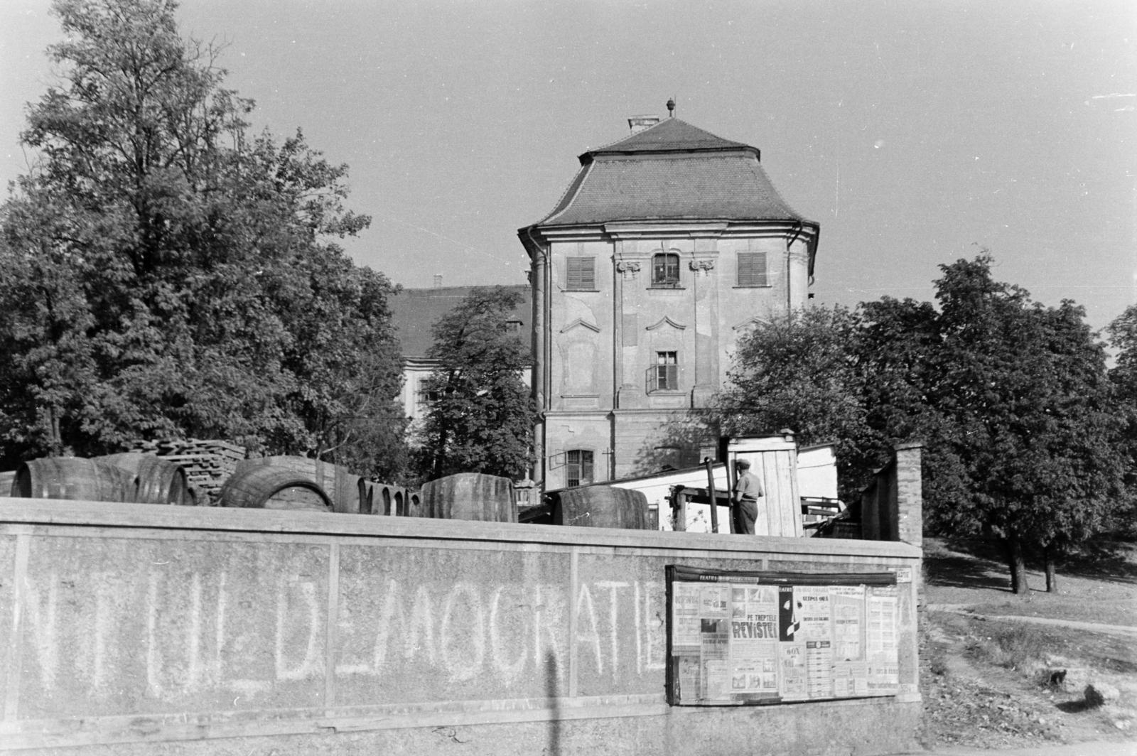 1961, Szalay János, Fortepan #301104