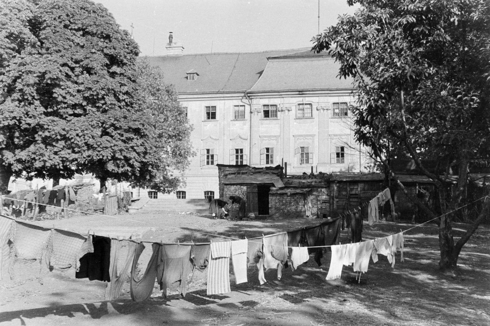1961, Szalay János, Fortepan #301105