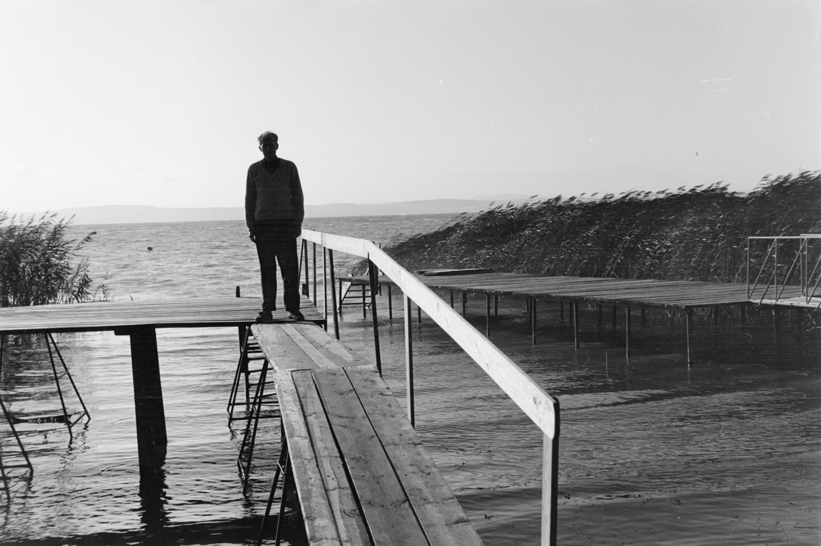 1962, Szalay János, nádas, stég, Fortepan #301114