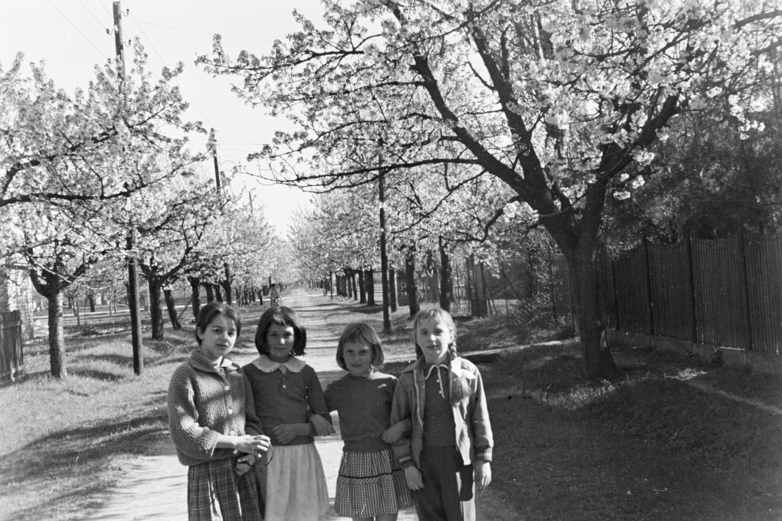 1962, Szalay János, Fortepan #301135