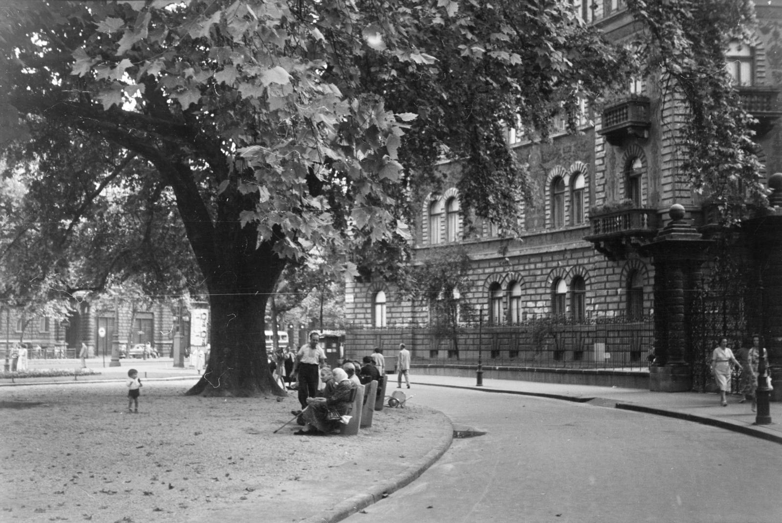 1961, Szalay János, Fortepan #301178