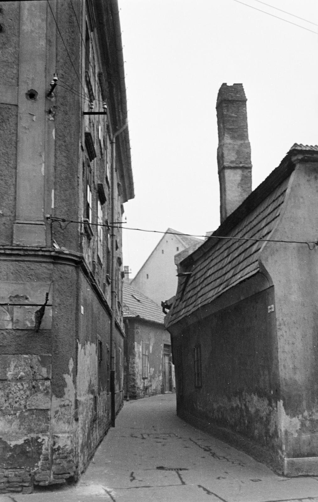 1962, Szalay János, Fortepan #301197