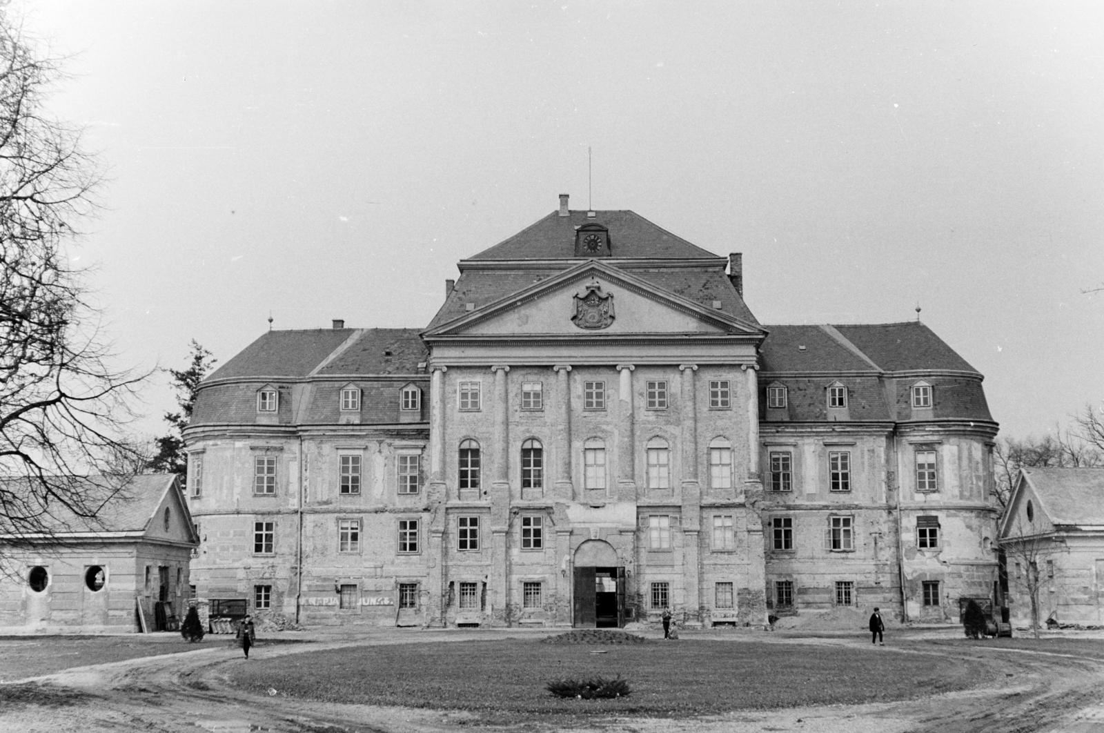 1963, Szalay János, Batthyány-címer, Fortepan #301207