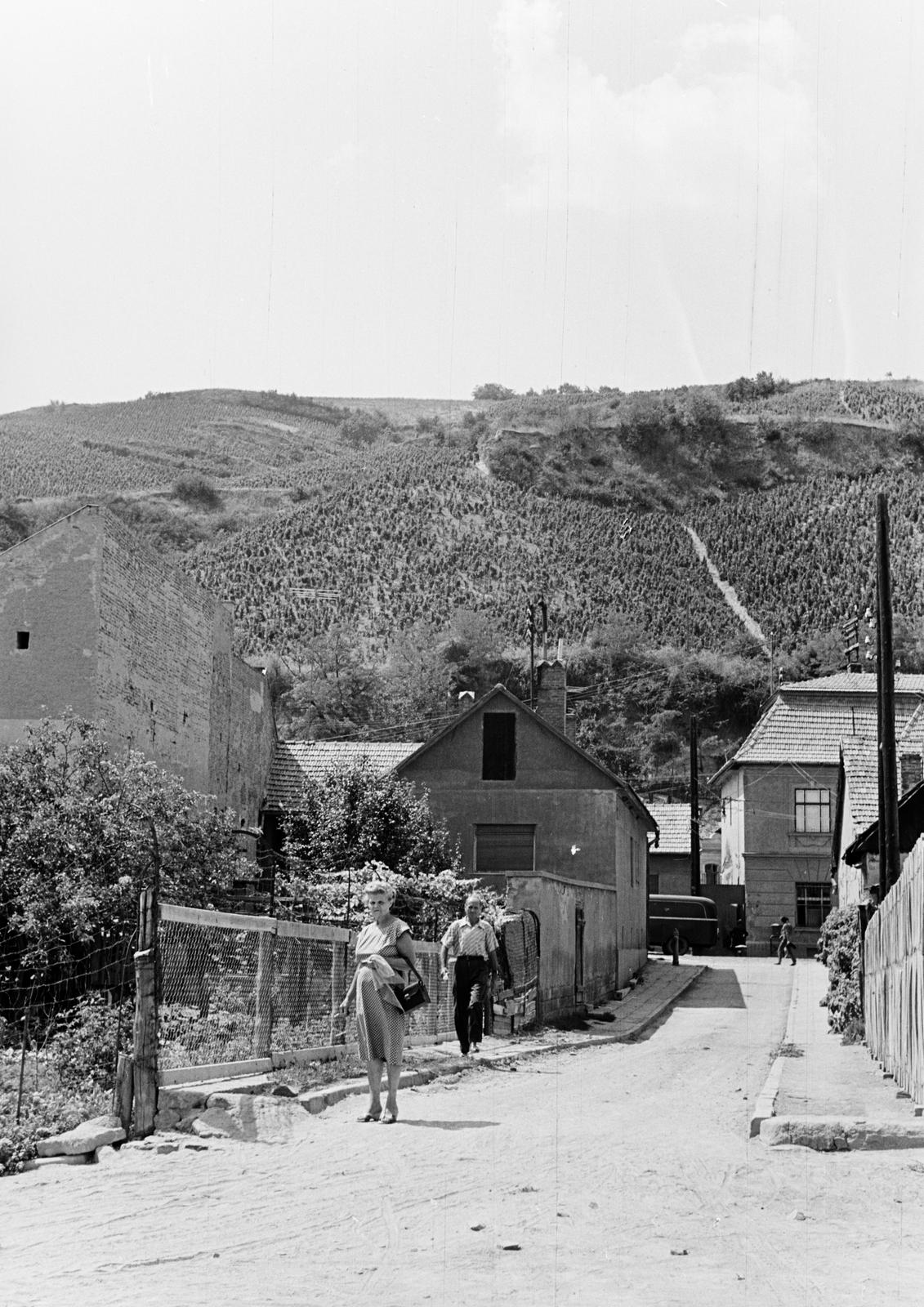 Magyarország, Tokaj, szemben a Liget köz, melynek túlsó végén a Rákóczi út, jobbra a Posta., 1964, Szalay János, Fortepan #301220