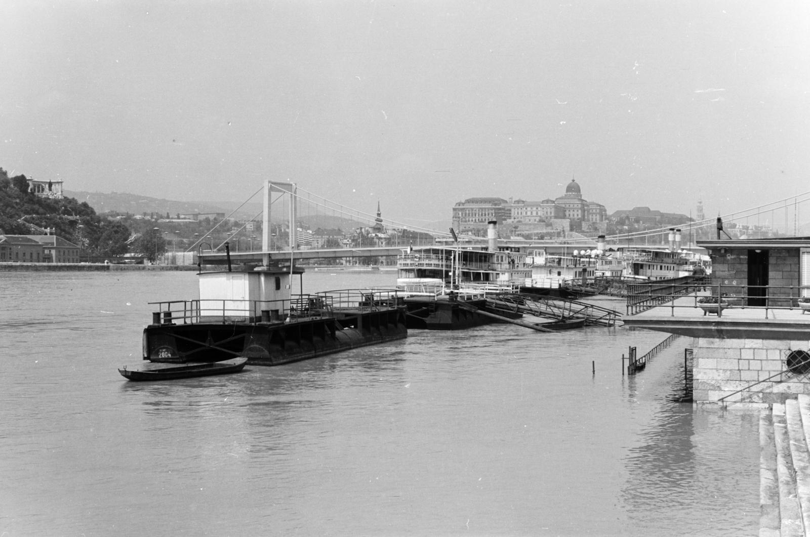 1964, Szalay János, Fortepan #301223