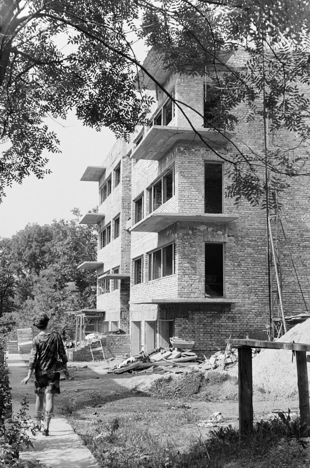 1966, Szalay János, építkezés, Fortepan #301261