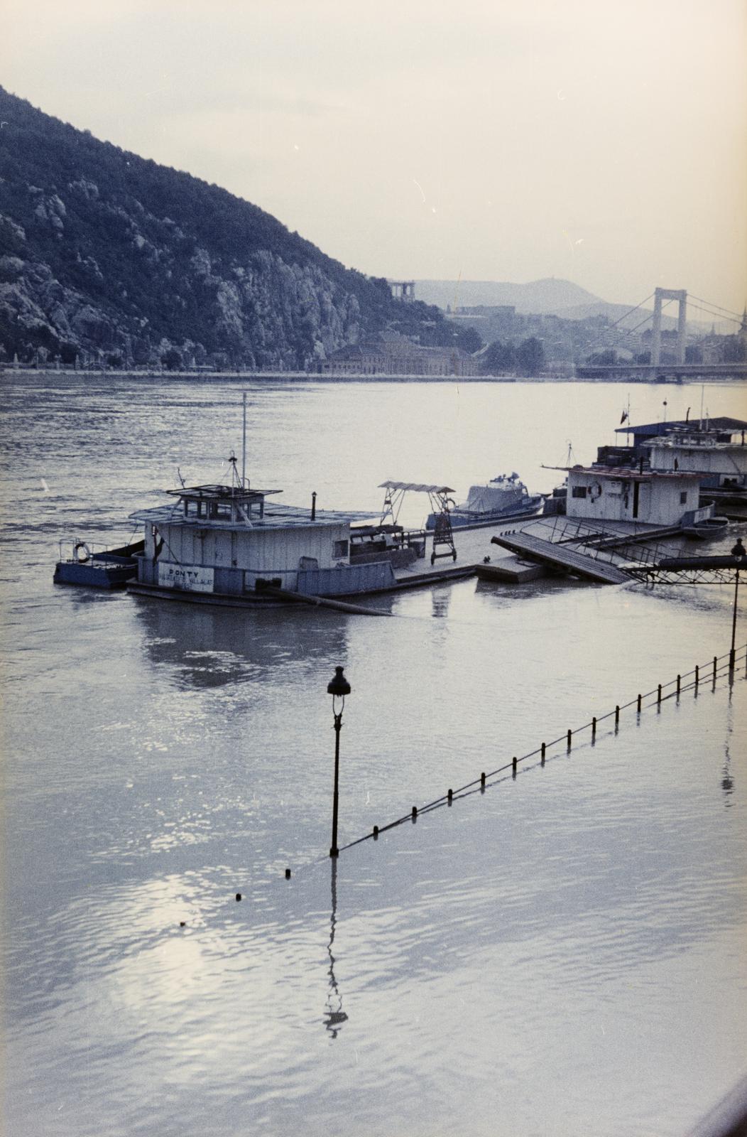 1968, Szalay János, Fortepan #301326