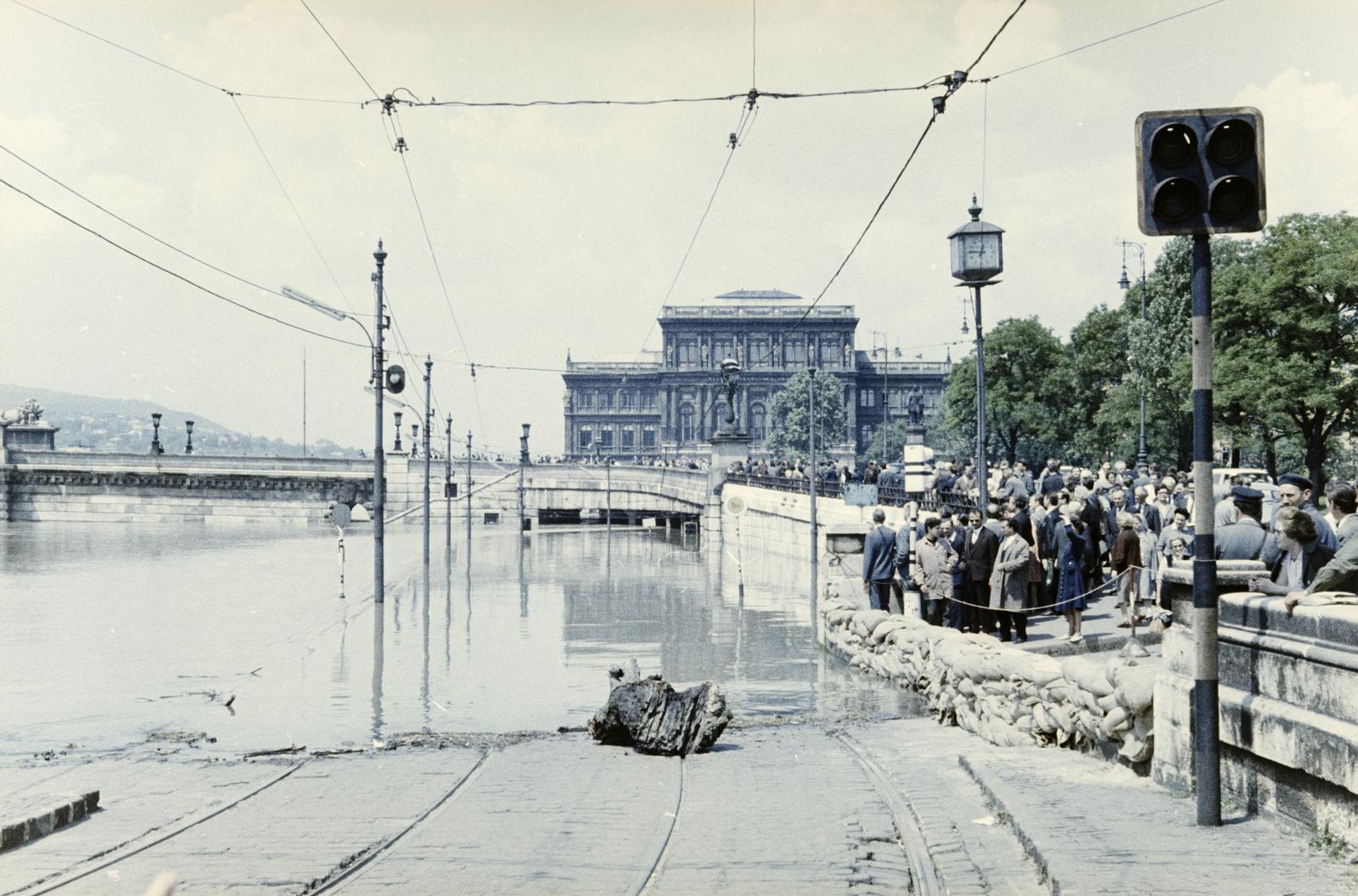 1968, Szalay János, Fortepan #301328