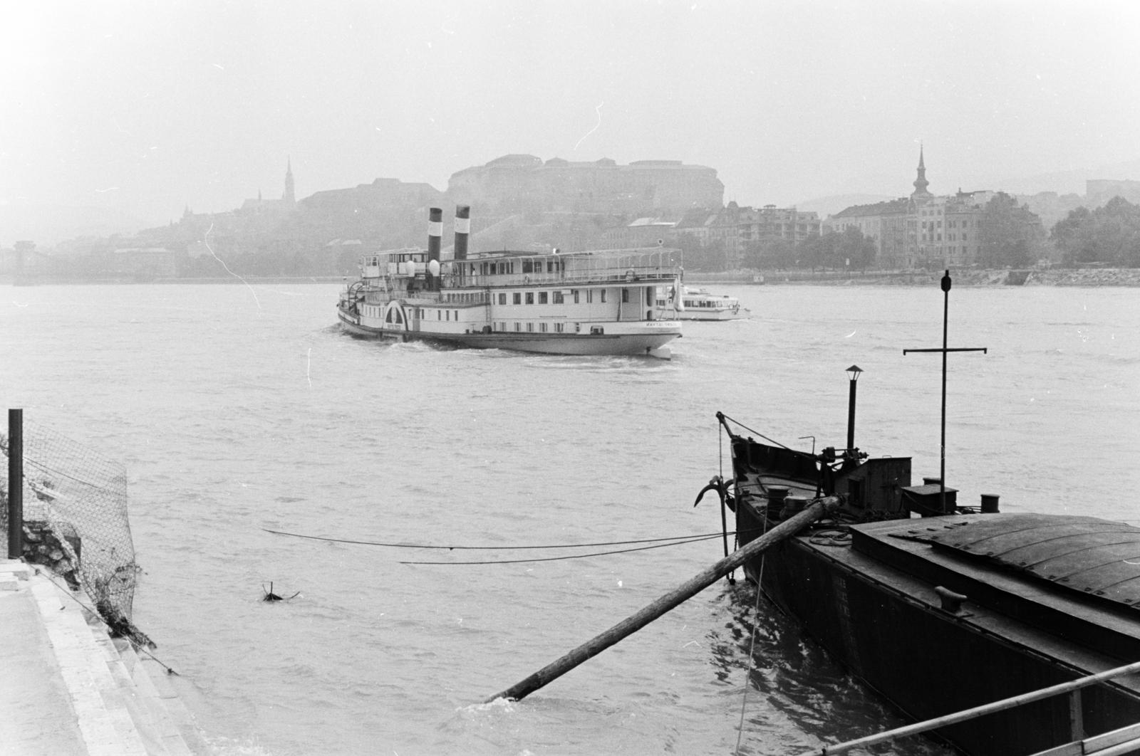 1962, Szalay János, Fortepan #301330