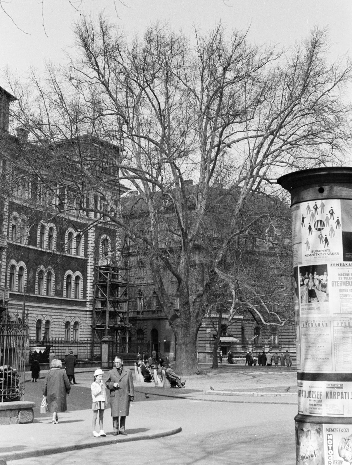 1960, Szalay János, Fortepan #301342