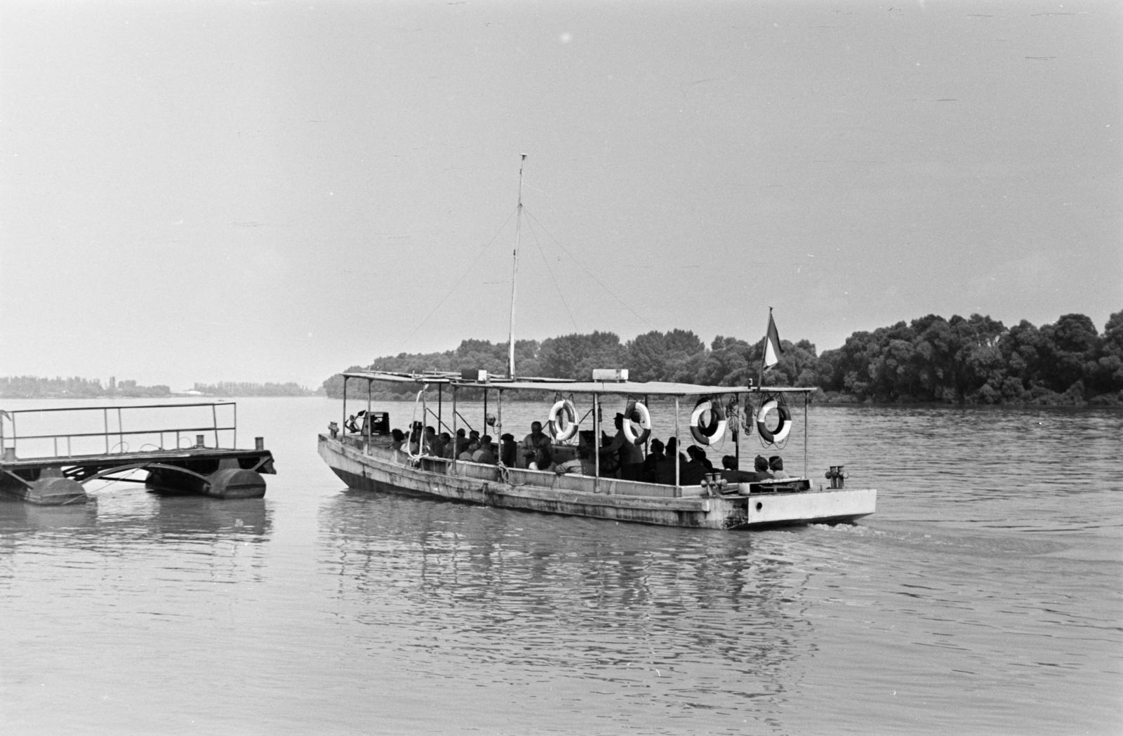 1960, Szalay János, Fortepan #301384