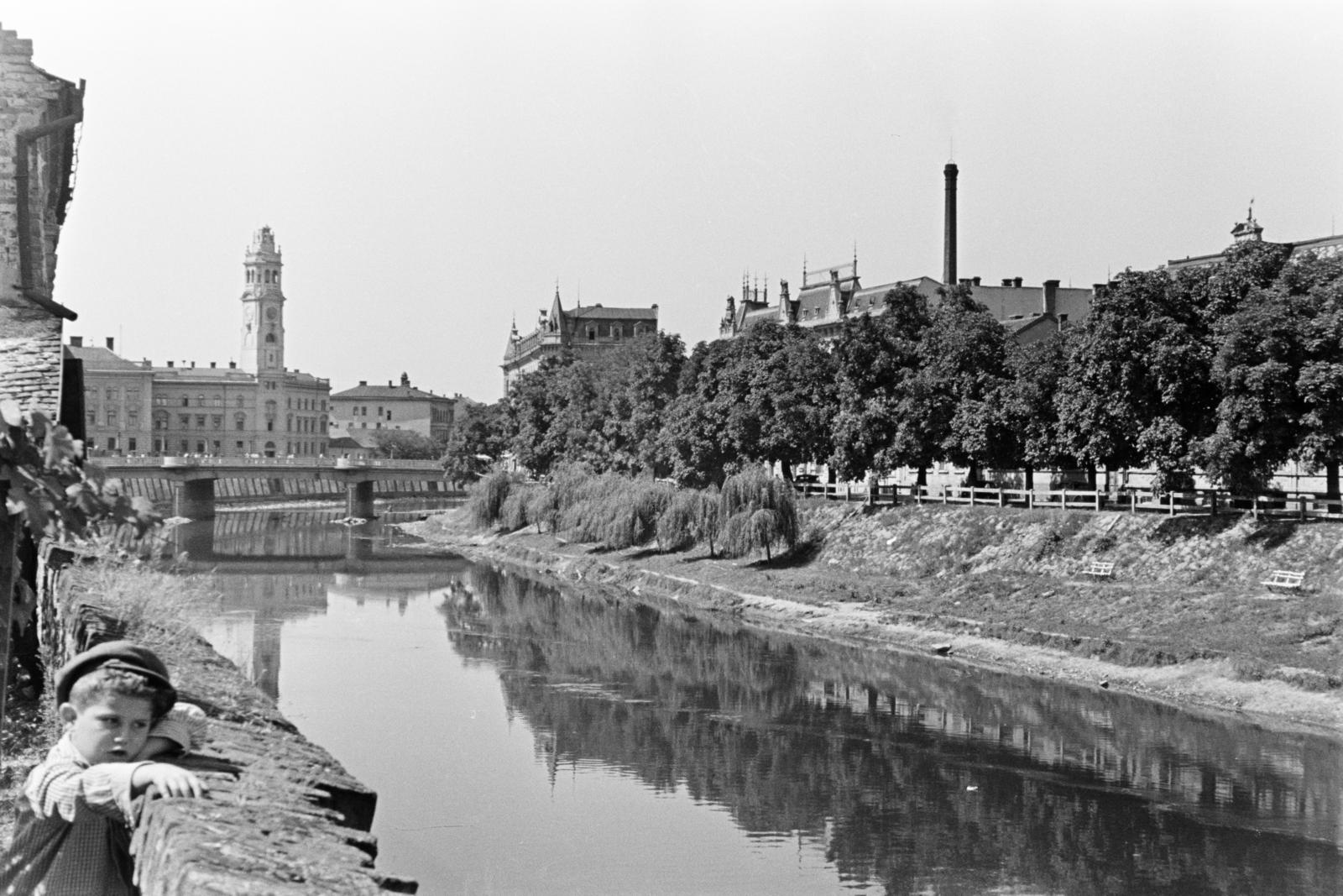 Románia,Erdély, Nagyvárad, a Sebes-Körös a Garasos hídtól a Szent László híd felé nézve, háttérben a híd mögött a Városháza., 1960, Szalay János, Fortepan #301401