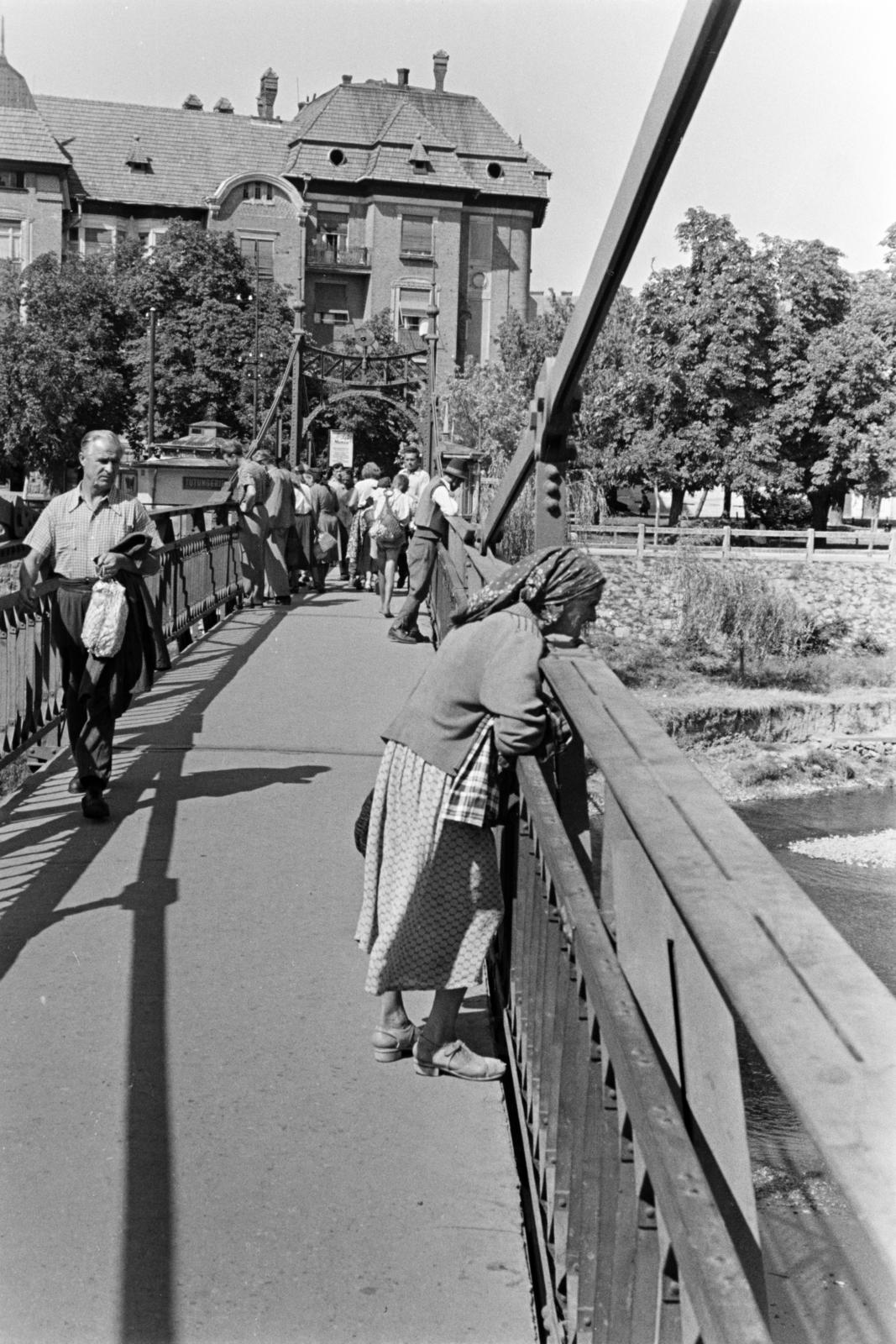 1960, Szalay János, Fortepan #301407