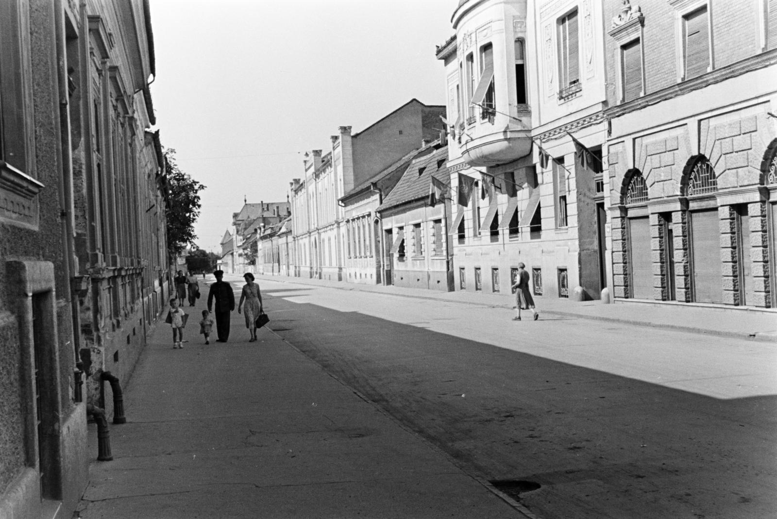 1960, Szalay János, Fortepan #301409