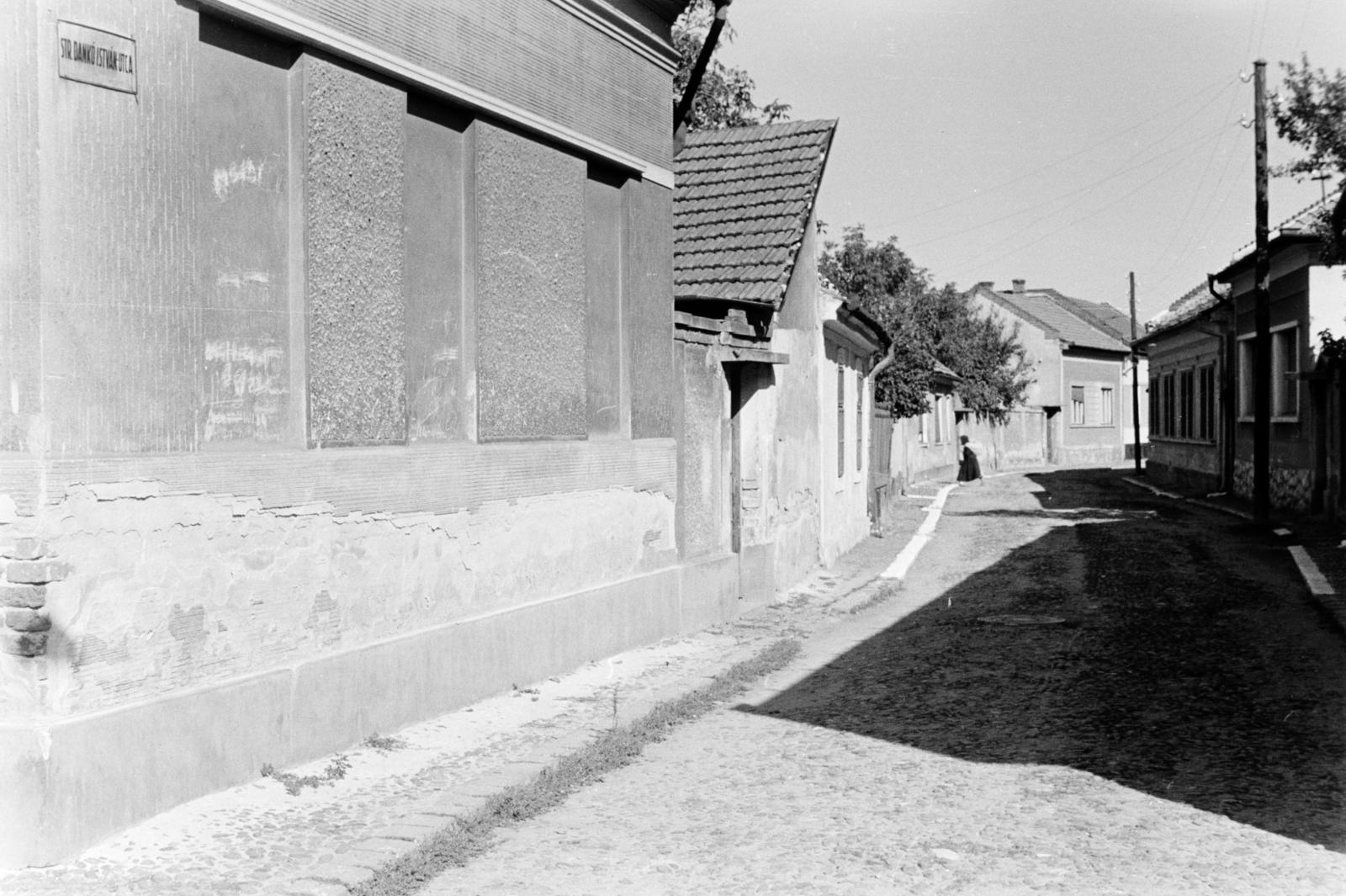 1960, Szalay János, Fortepan #301419