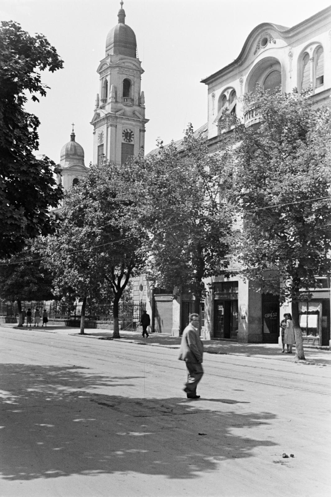 1960, Szalay János, Fortepan #301426