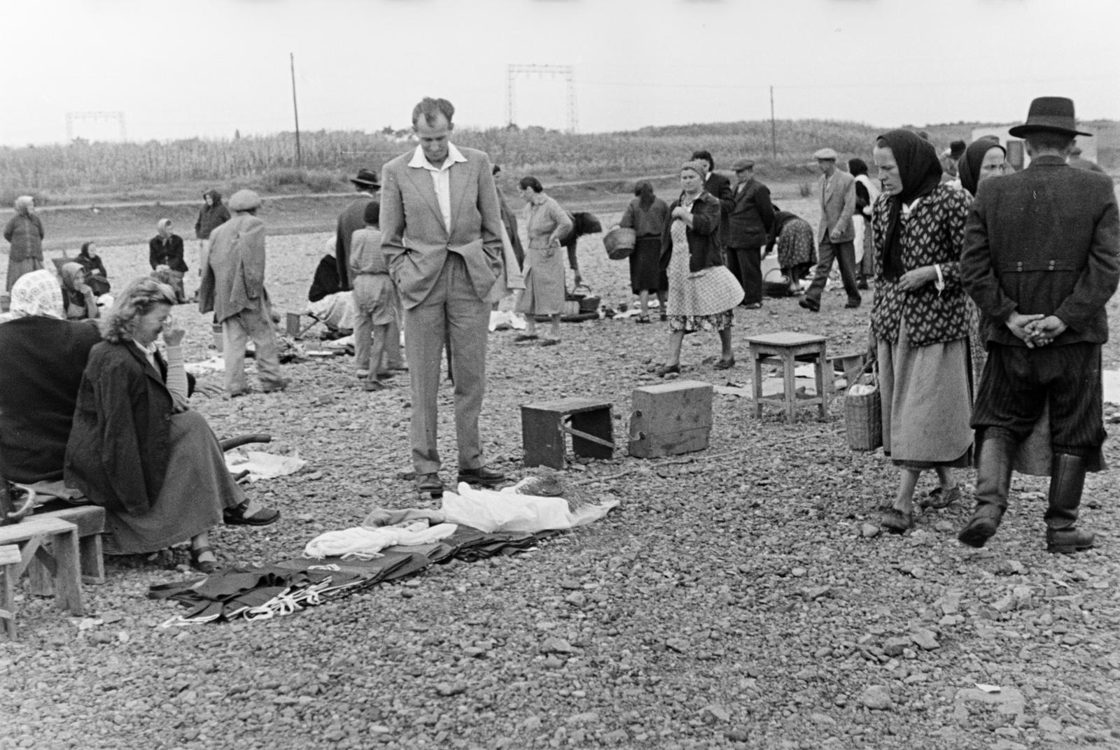 1960, Szalay János, Fortepan #301430