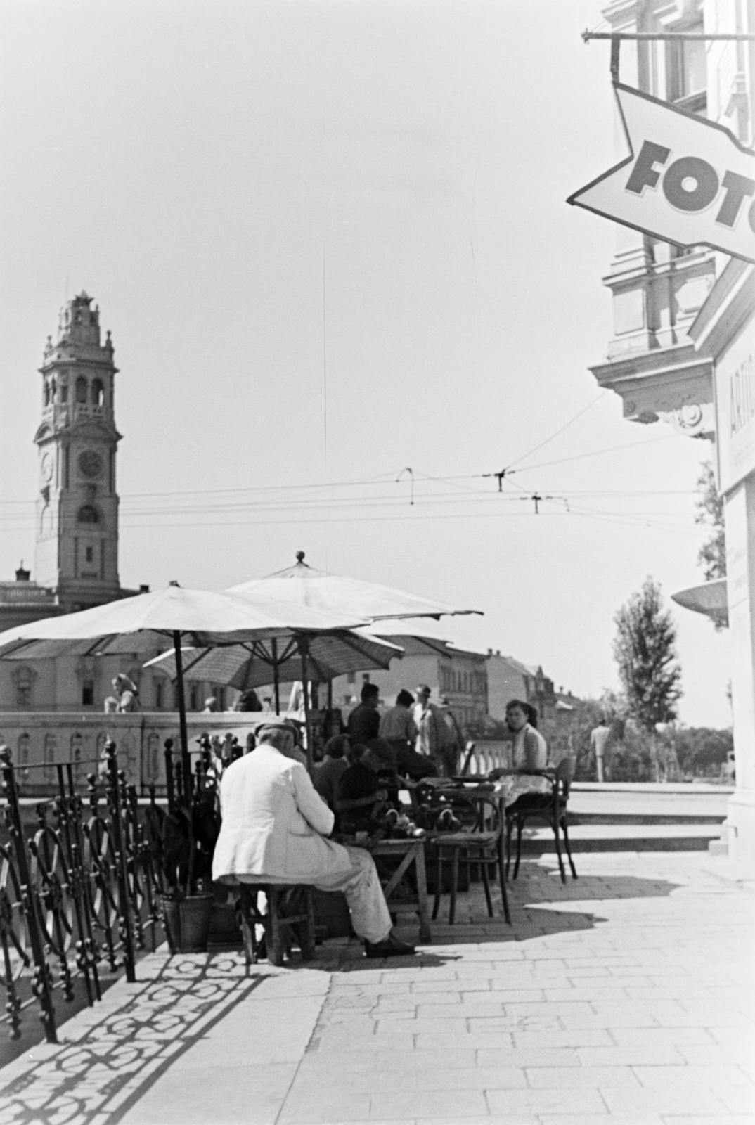 1960, Szalay János, Fortepan #301432