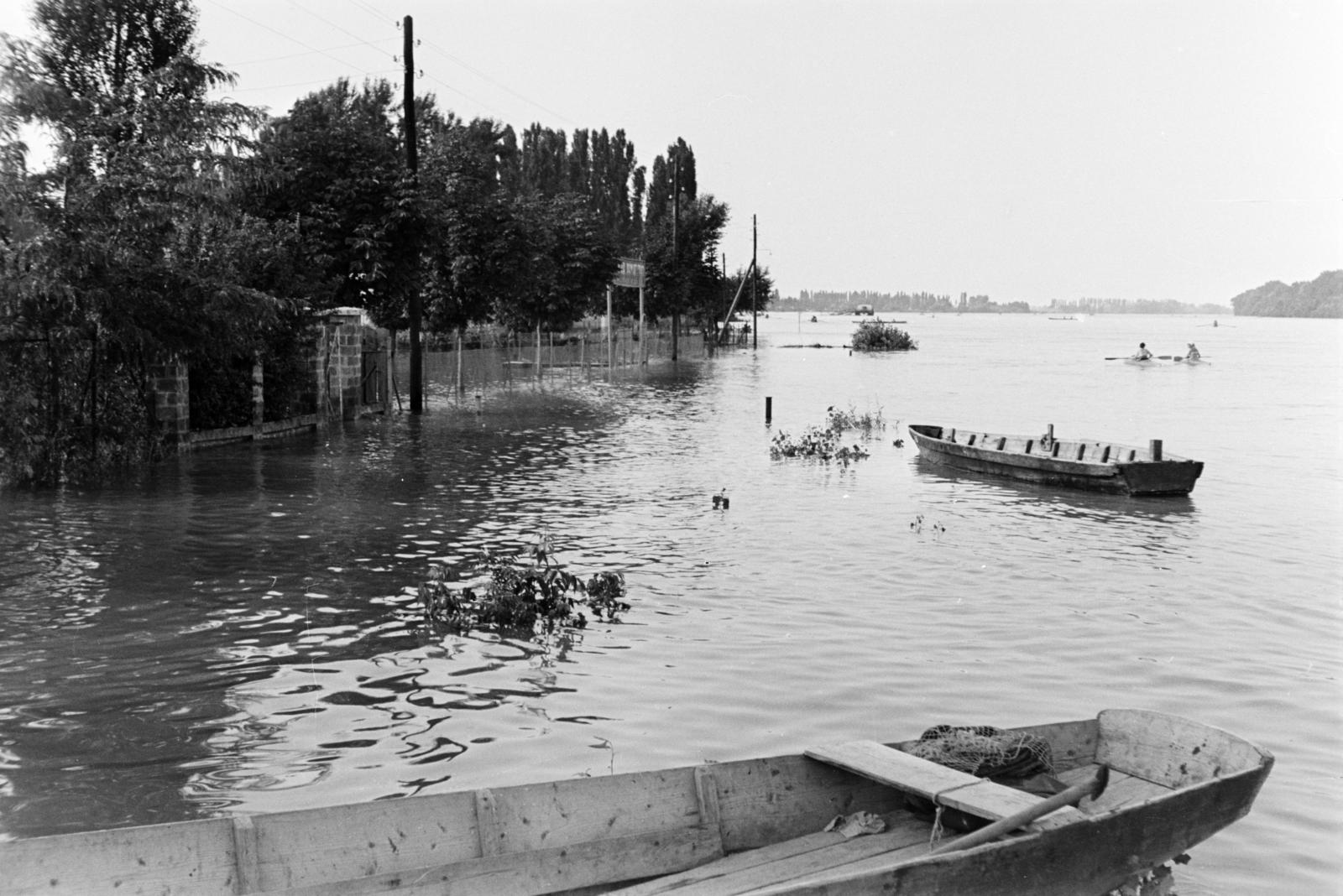1956, Szalay János, Fortepan #301441