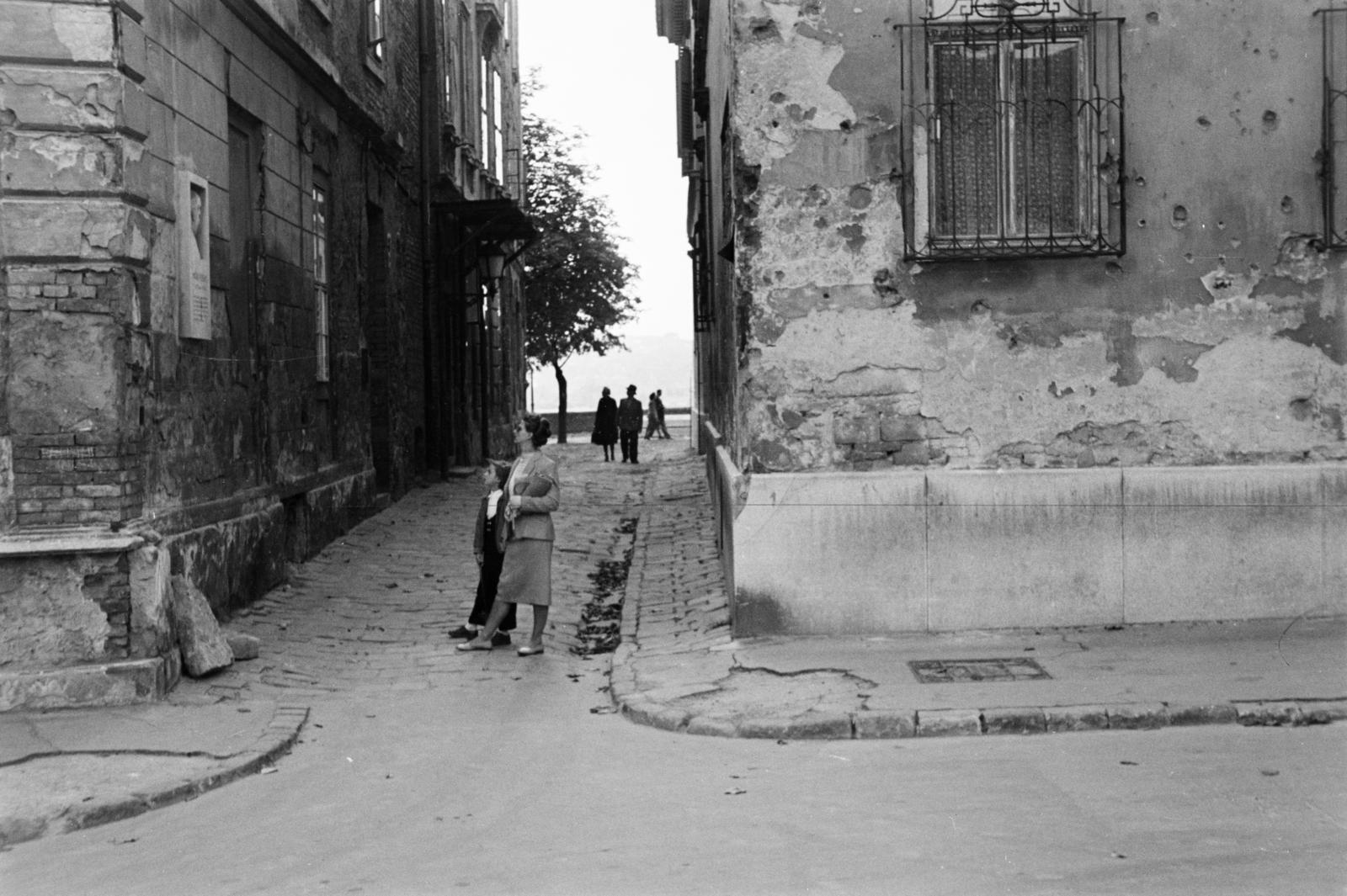 1961, Szalay János, Fortepan #301467