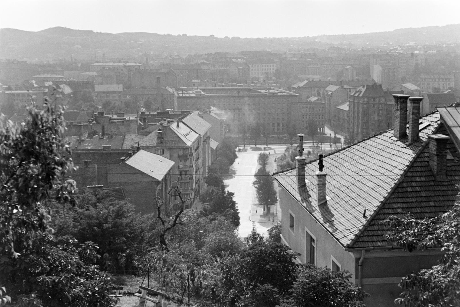 1961, Szalay János, Fortepan #301469