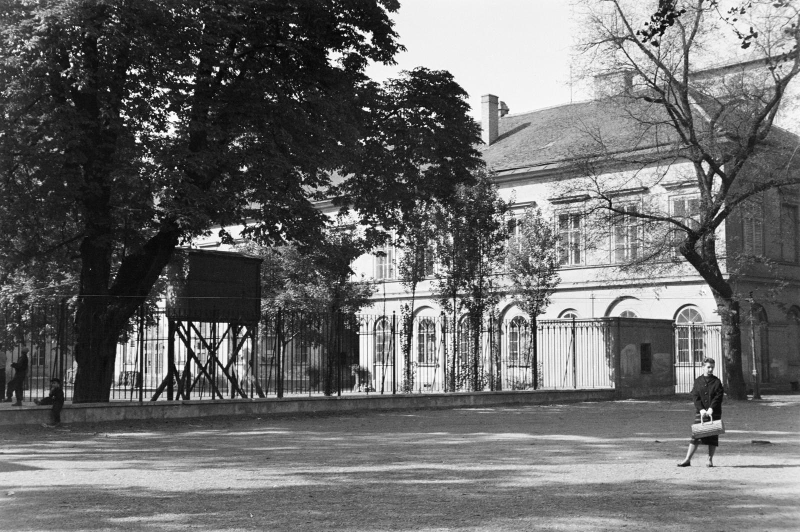 1960, Szalay János, Fortepan #301472