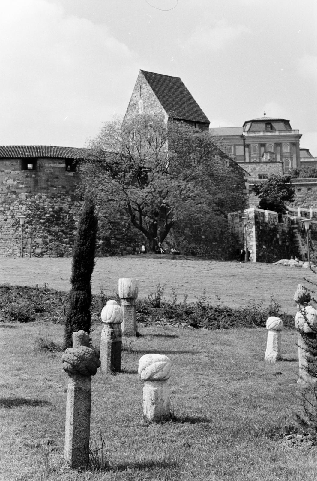 1966, Szalay János, Fortepan #301474
