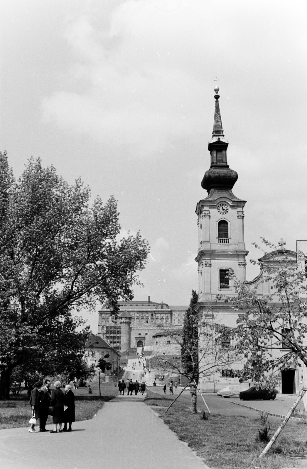 1966, Szalay János, Fortepan #301477