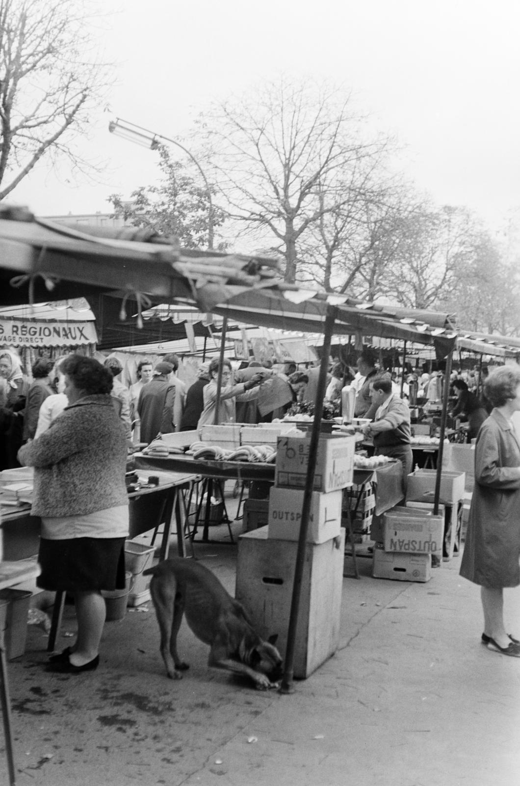 1966, Szalay János, Fortepan #301483