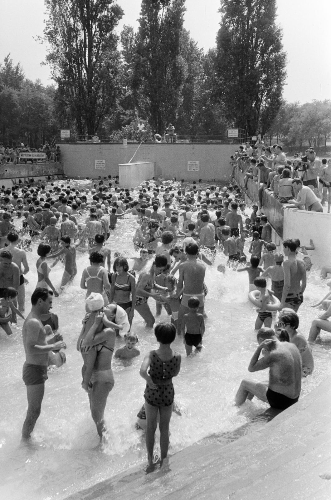 Magyarország, Margitsziget, Budapest, Palatinus Strandfürdő, hullámmedence., 1966, Szalay János, Fortepan #301493