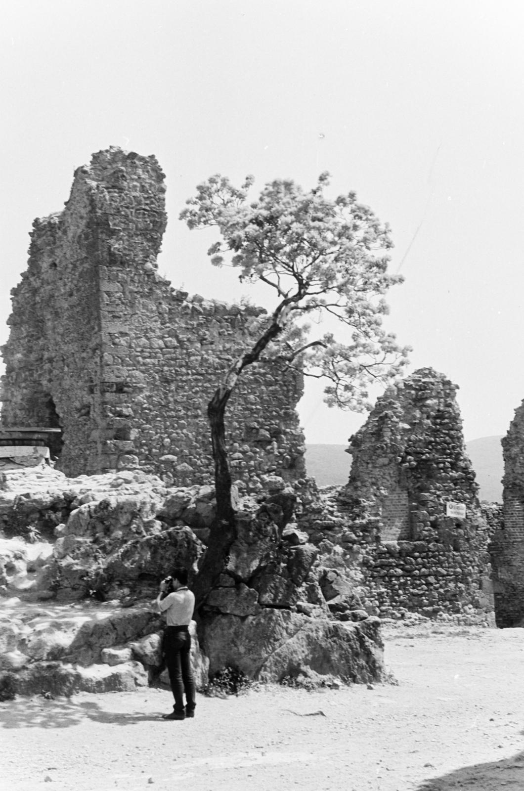 1966, Szalay János, Fortepan #301504