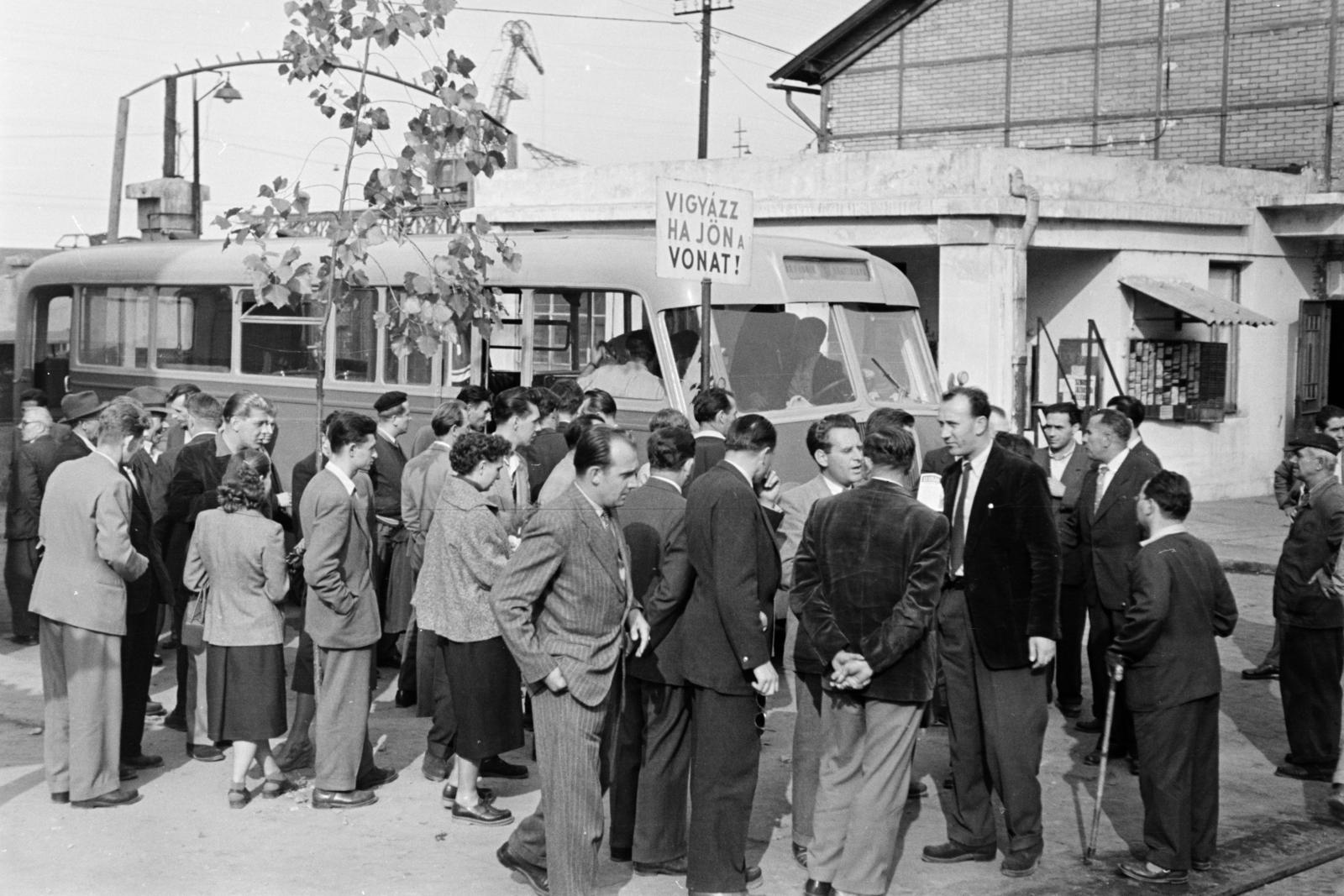 1960, Szalay János, Fortepan #301520