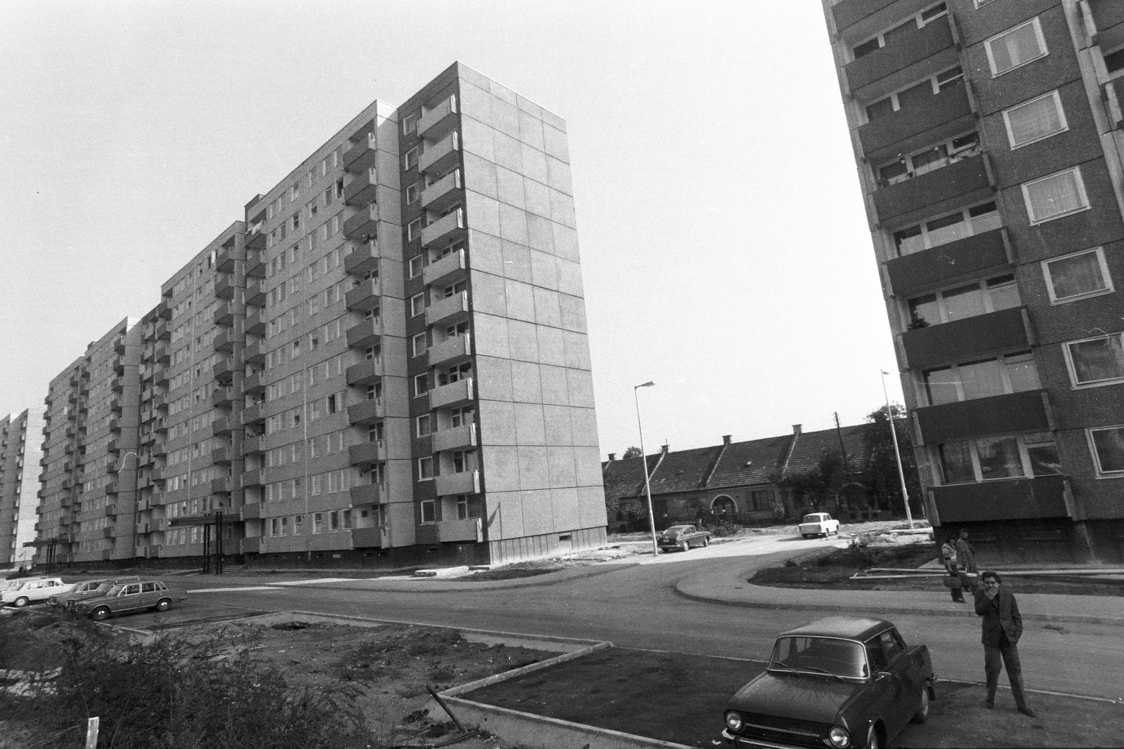 1983, Szaller Károly, Fortepan #301649